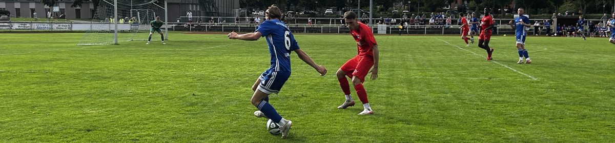 Oldenburger SV v. 1865